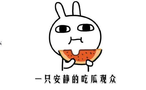 娱乐圈吃瓜的正确方法